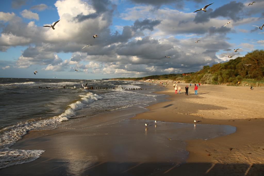 Dom Goscinny Albatros I Rewal Bagian luar foto